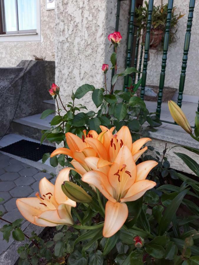 Cynda'S Home Визеу Экстерьер фото