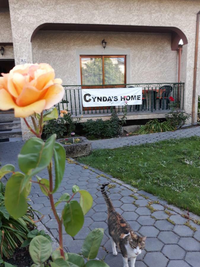 Cynda'S Home Визеу Экстерьер фото